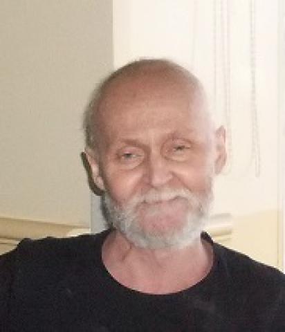 Alain Hamel