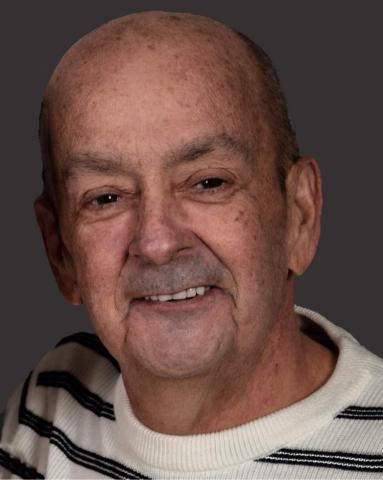 Michel Lavoie